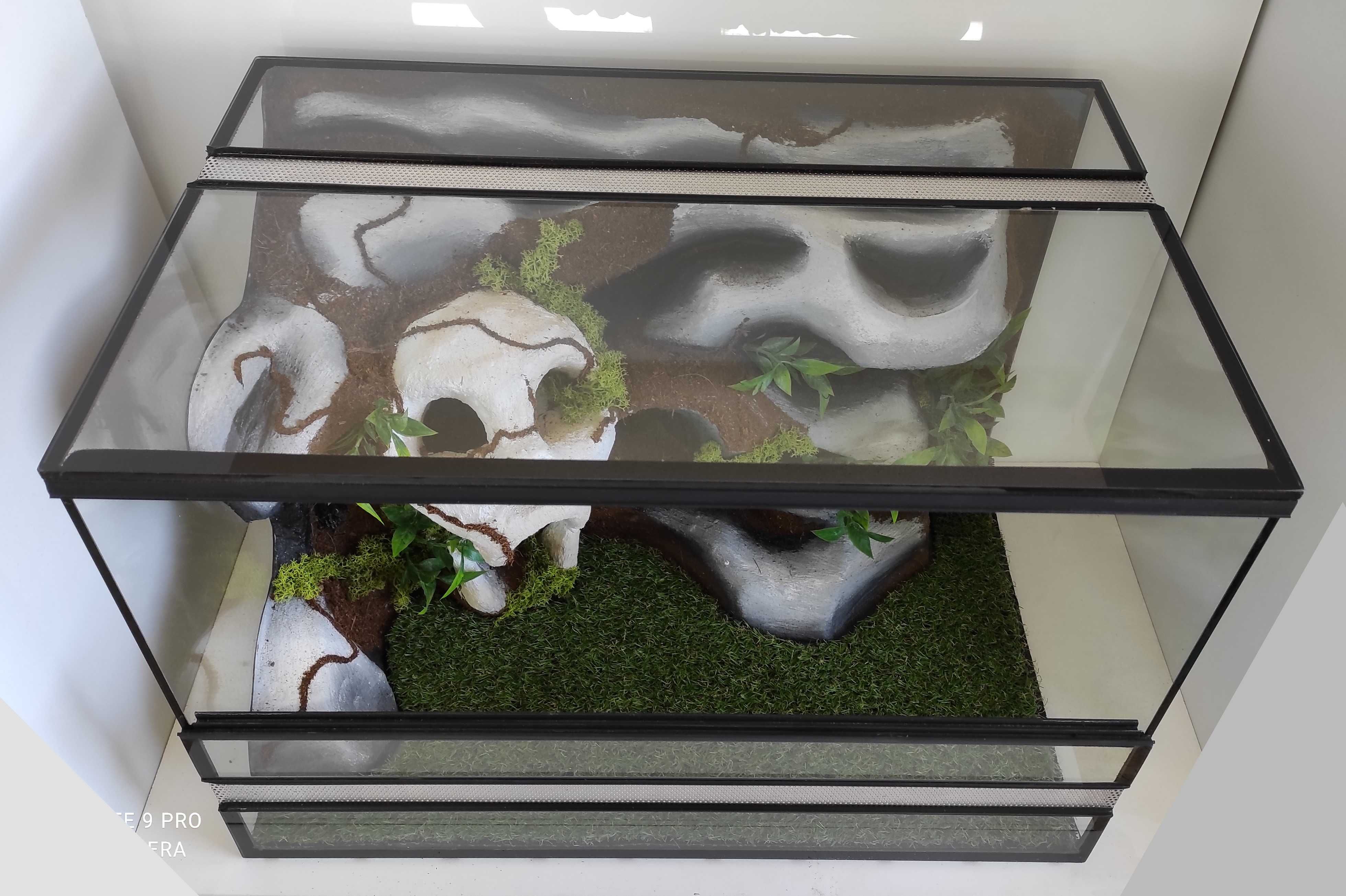 Terrarium dla węża zbożowego, regiusa, lamparta, TW25Cz