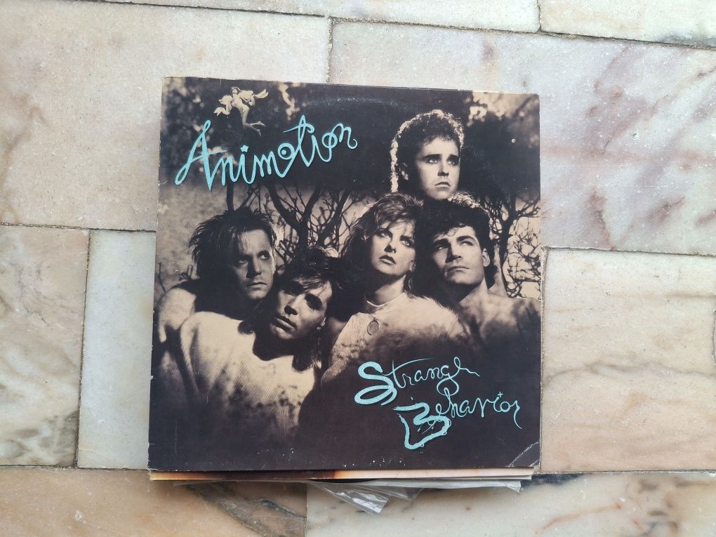 Vinil lp  dos Animotion .