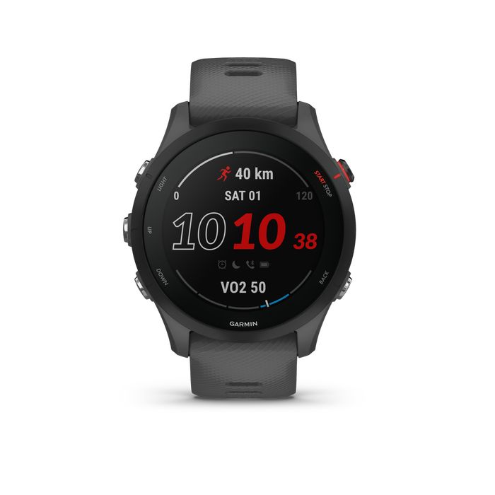 Smartwatch GPS Forerunner 255 Cinzento Ardósia