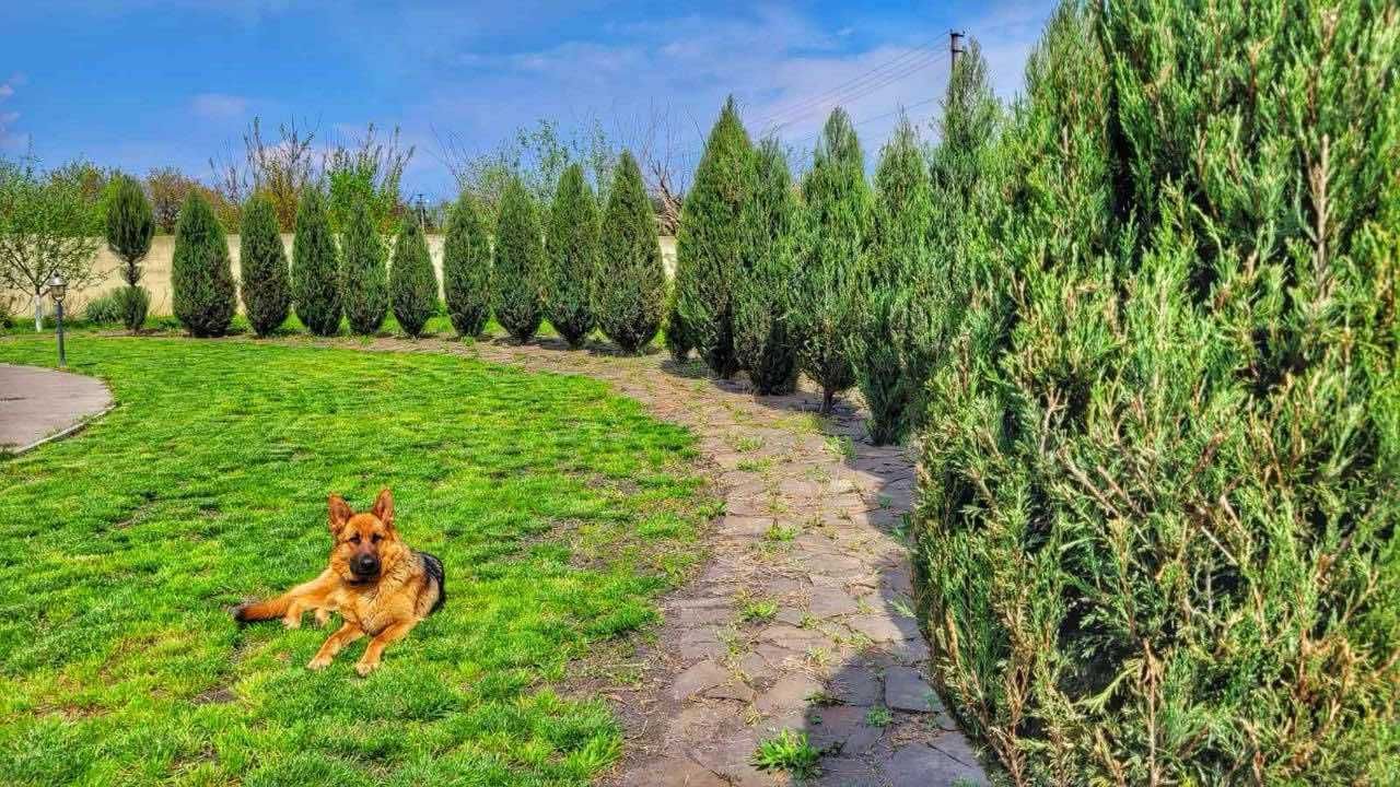 Продам будинок с.Єлизаветівка, блакинте озеро