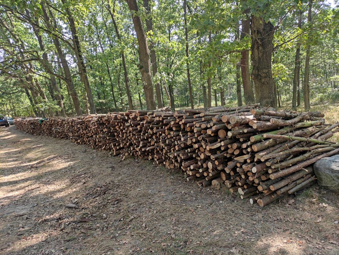 Drewno opałowe mix buk,dąb (wałki)