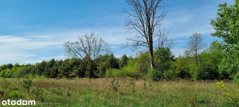 Działka rekreacyjna na sprzedaż