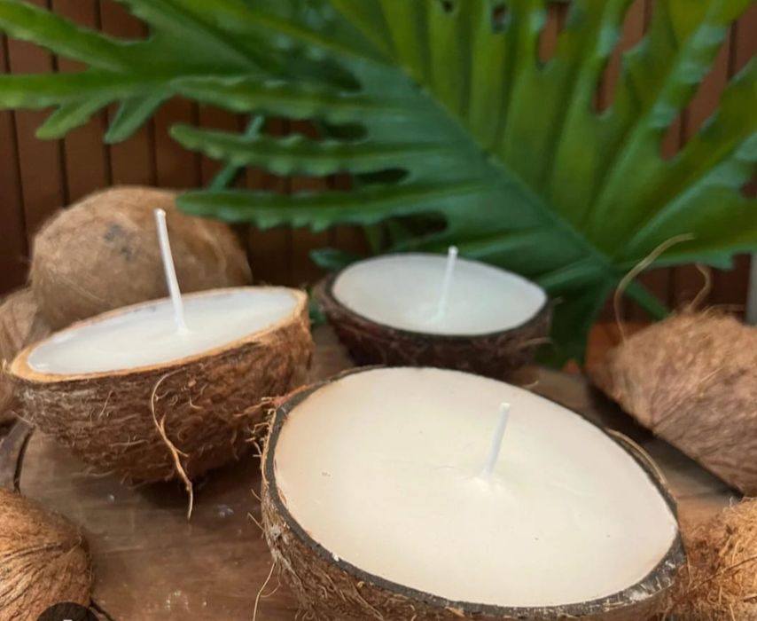 Cascas de côco limpas