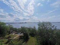 Продам дачу в Александровке со своим берегом!