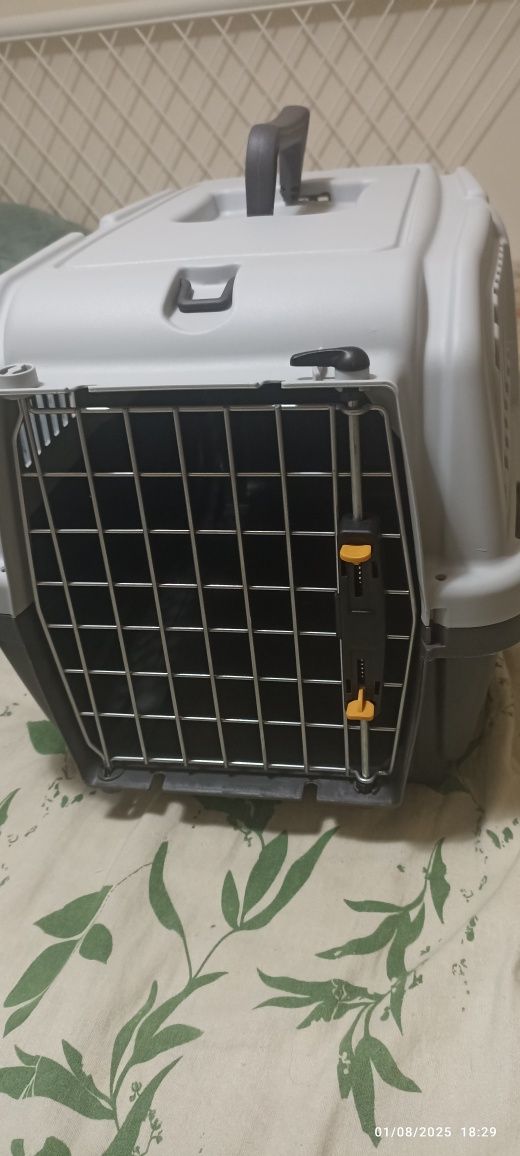 Caixa transportadora