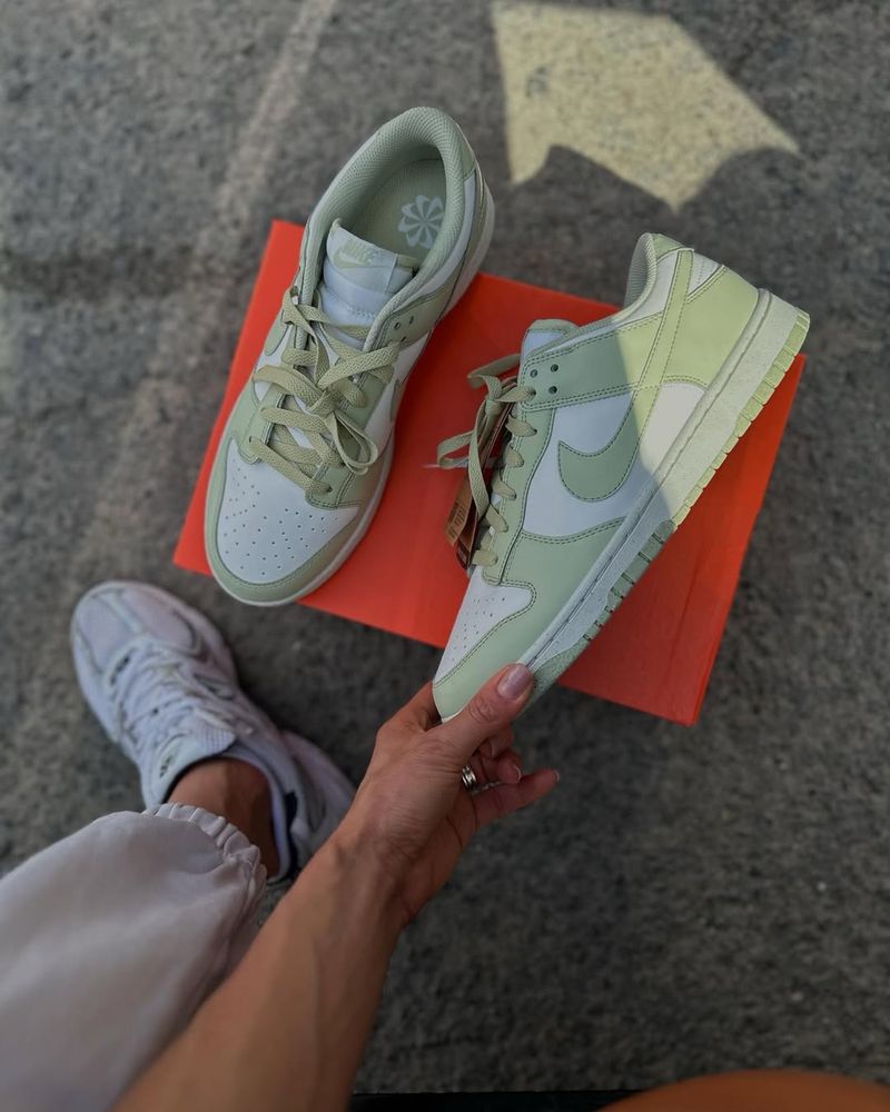 Чоловічі оригінальні кросівки Nike Dunk Low Next HF5384 300
