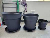 Vasos robustos para plantas