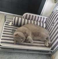 Łóżko dla kota badz malego pieska My Prince