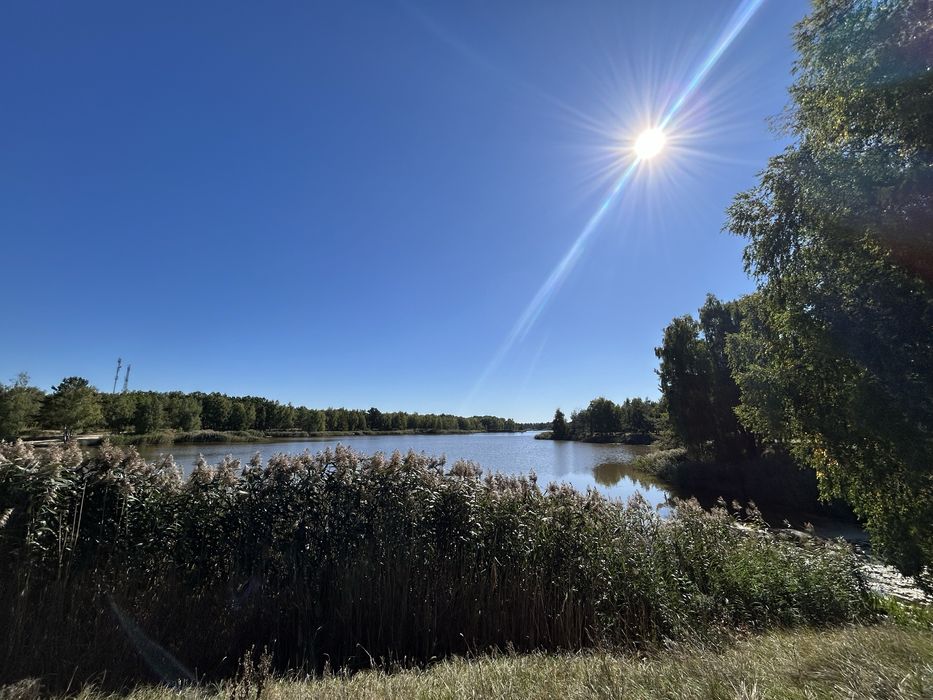 Продаж нової дачі в с/т «Вишневий» Вишгородського р-у, Киівське море
