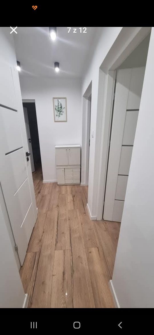 Mieszkanie do wynajęcia 57m. 3pokoje od 1.09