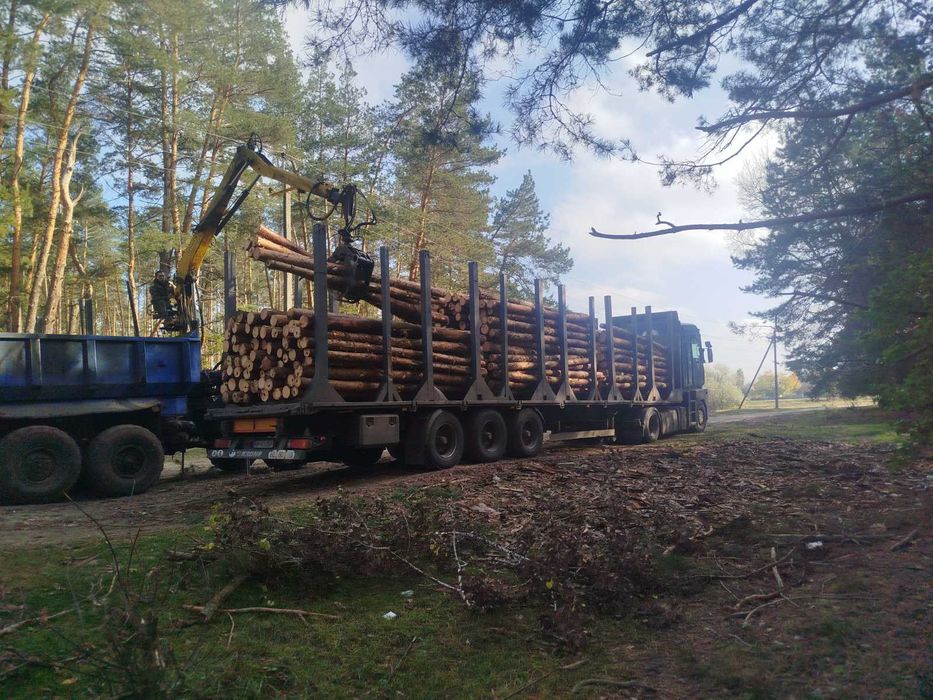 Пиловочник / лес кругляк 4м для строительства | 14-20см | есть НДС