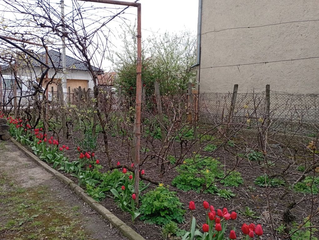 Дом 59 м2 участок 6 соток Берегово Закарпатье