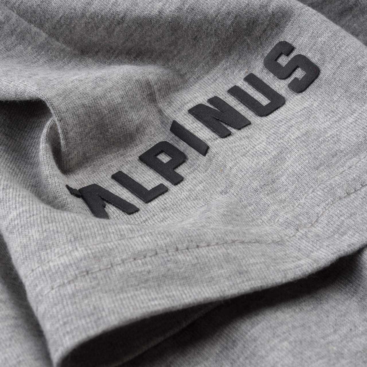 T-shirt Alpinus stan nowy.
