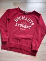 Bluza Harry Potter Hogwarts Student 146