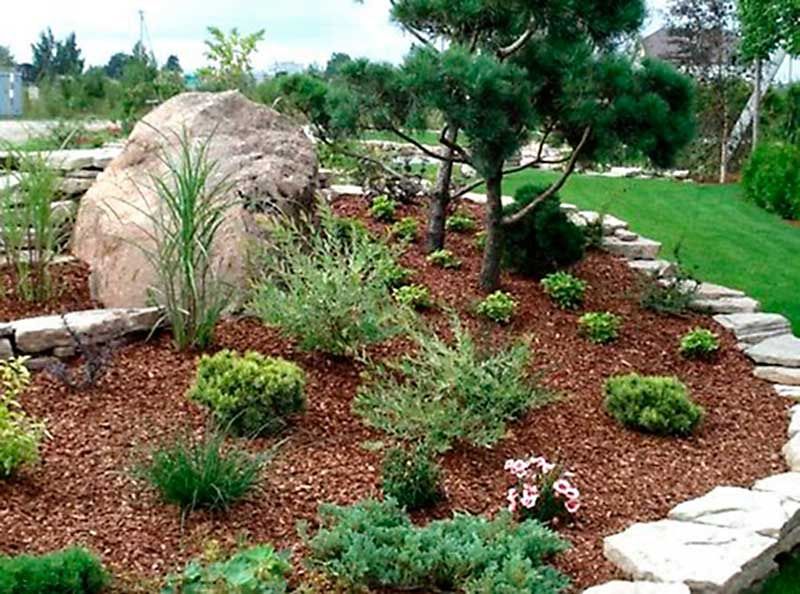 Ландшафтный дизайн клумбы газон