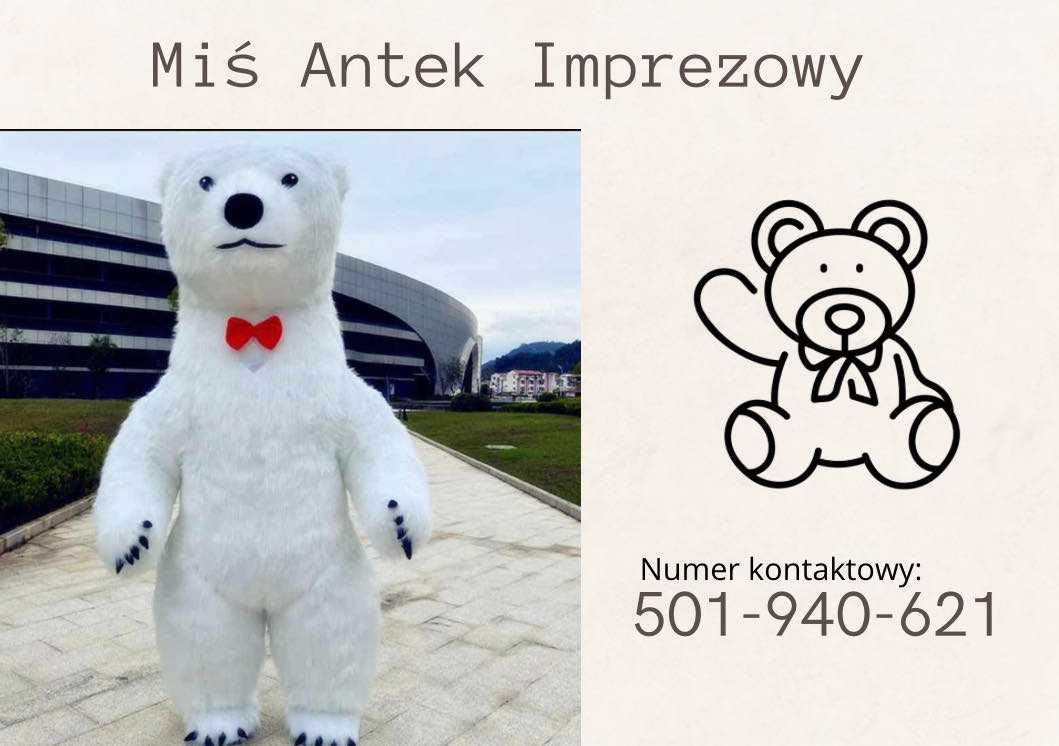 Imprezowy miś Antek