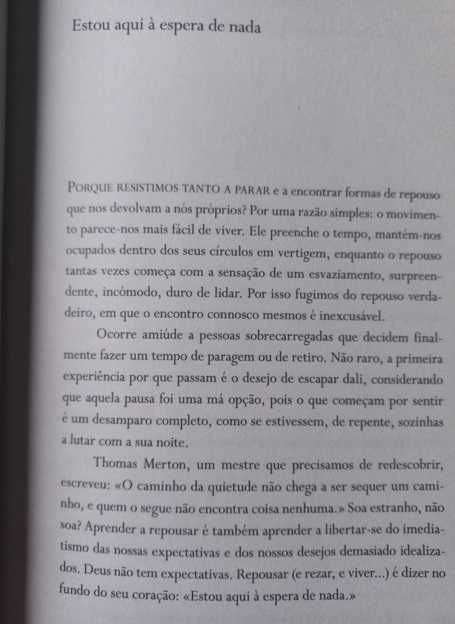 O Pequeno Caminho das Grandes Perguntas - José Tolentino Mendonça