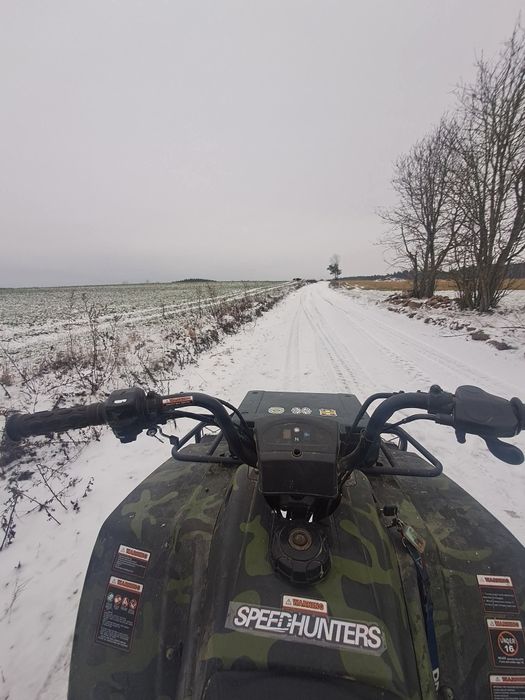 Quad 250 Skandynawia