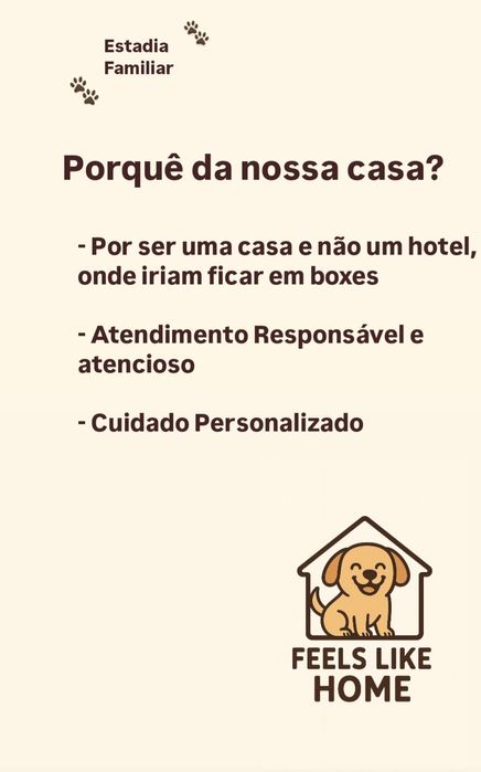 Estadia Familiar Cães