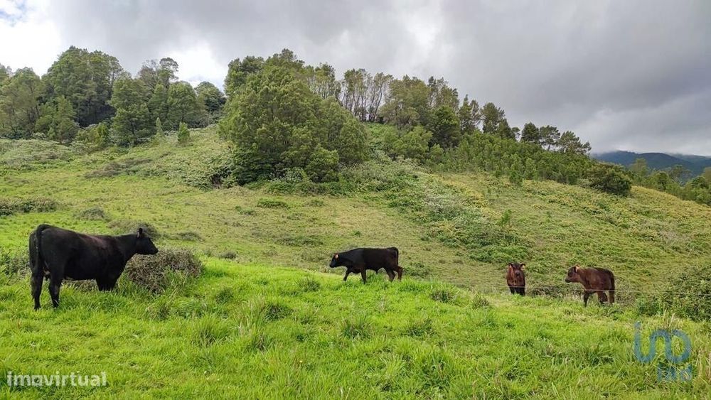Terreno em Povoação de 142408,00 m2