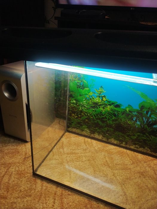 Акваріум на 140 літрів