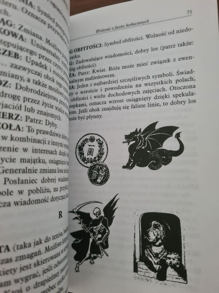 Cyganka prawdę ci powie - Książka