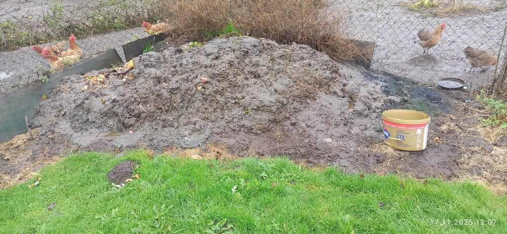 Obornik kurzy oddam za darmo