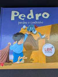 Pedro perdeu o Coelhinho de  Sandrine Deredel Rogeon