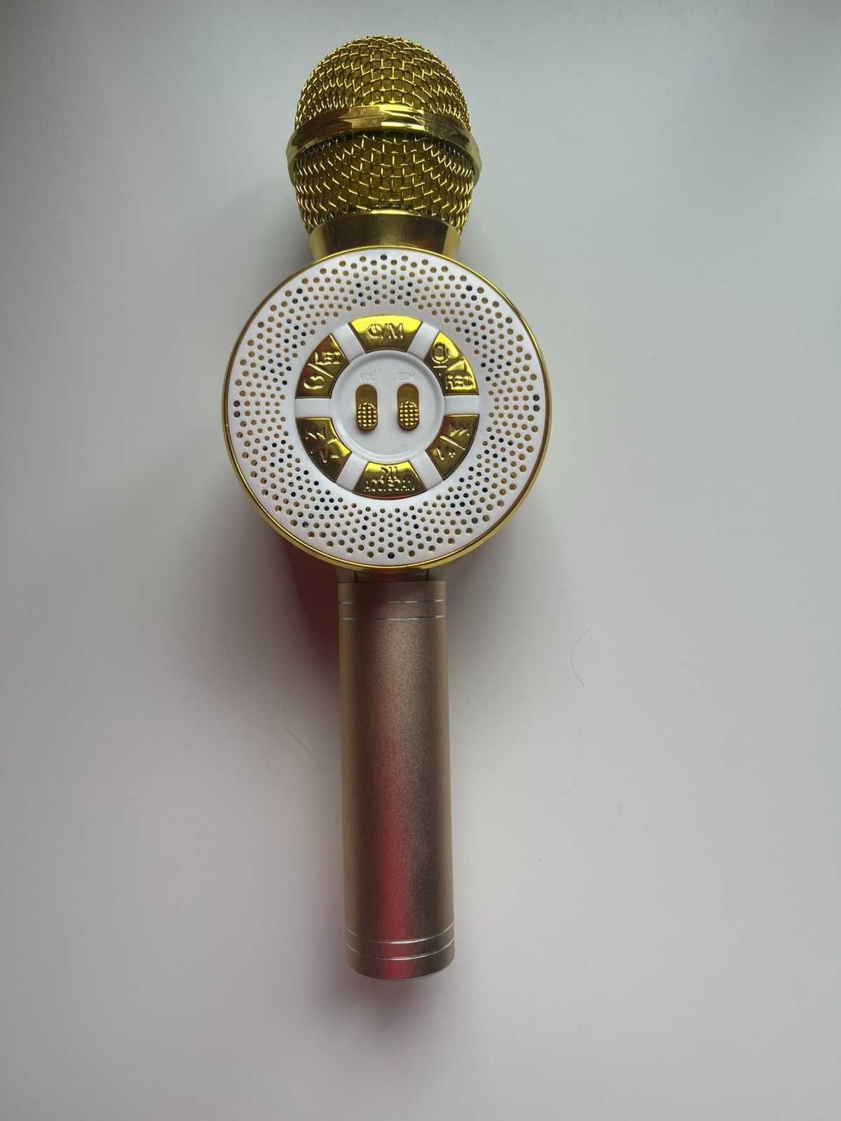 Дитячий USB мікрофон Wster