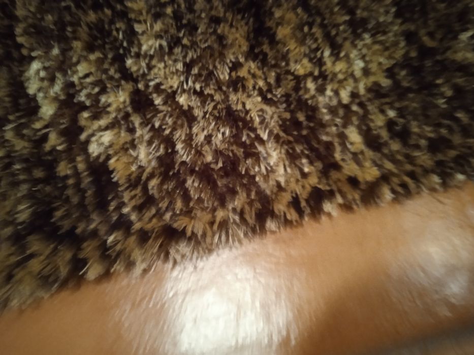 Carpete pelo comprido