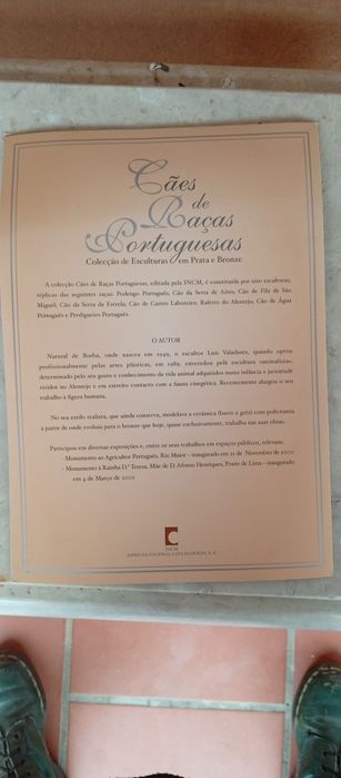 Escultura de Prata Luís Valadares