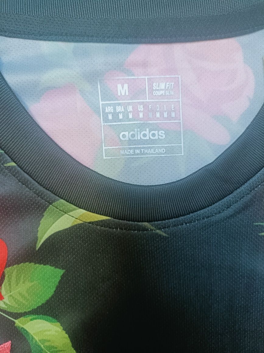 Japão 24/25 Edição Especial
