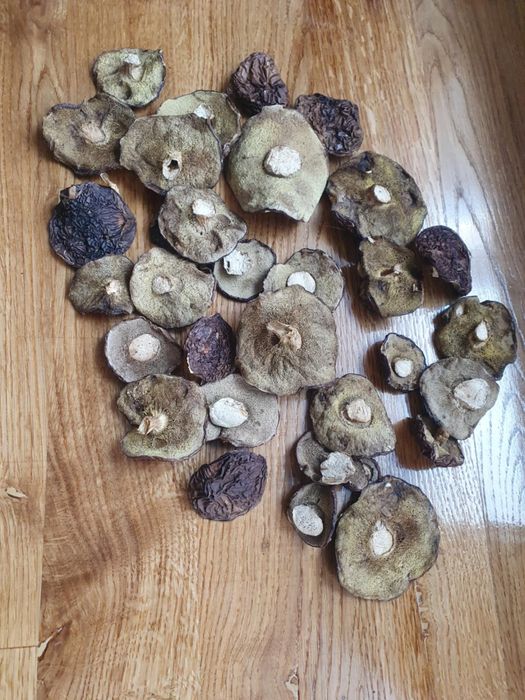 Sprzedam suszone pogrzybki kapelusze tegoroczne