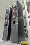 Hi-Fi Акустика Dali Lector 6. 90 дБ! Вес 28,5кг. Дания