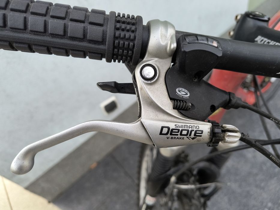 Rower męski  DBS rama 21"