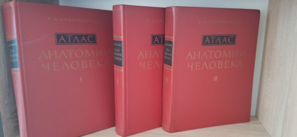Синельников, анатомія людини, анатомия человека