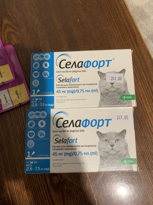 Кошка котенок котята