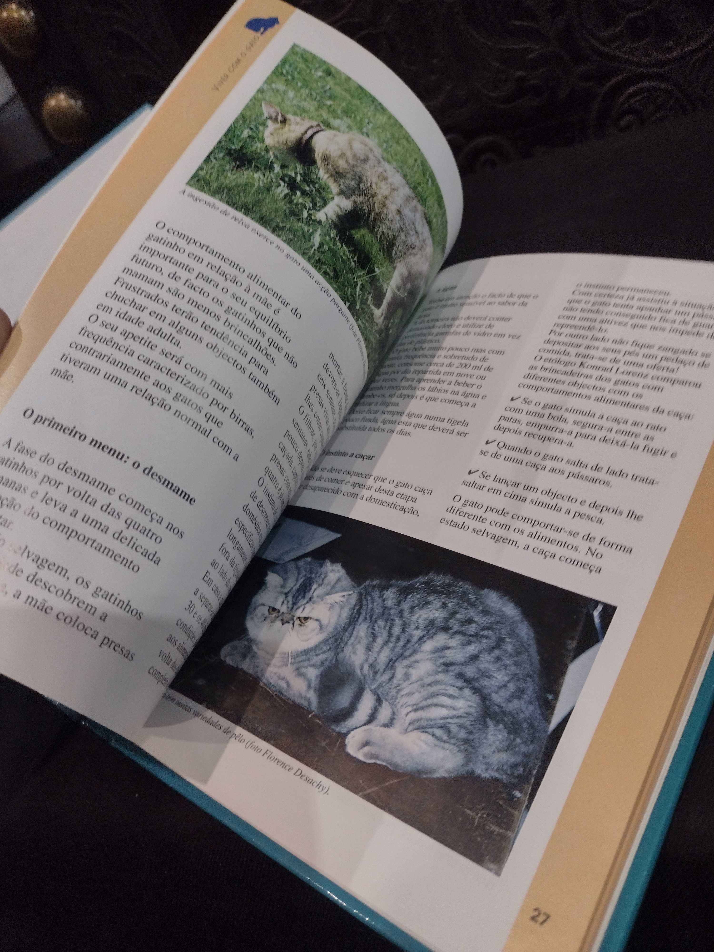 Viver com o Gato o que precisa saber - Michèle Fermé-Fradin
