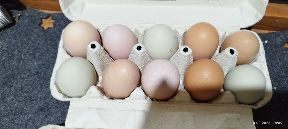 Jaja swojskie na sprzedaż