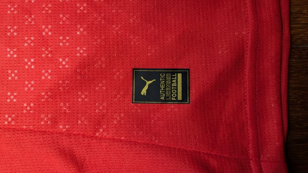 Camisola Portugal 2025 Puma