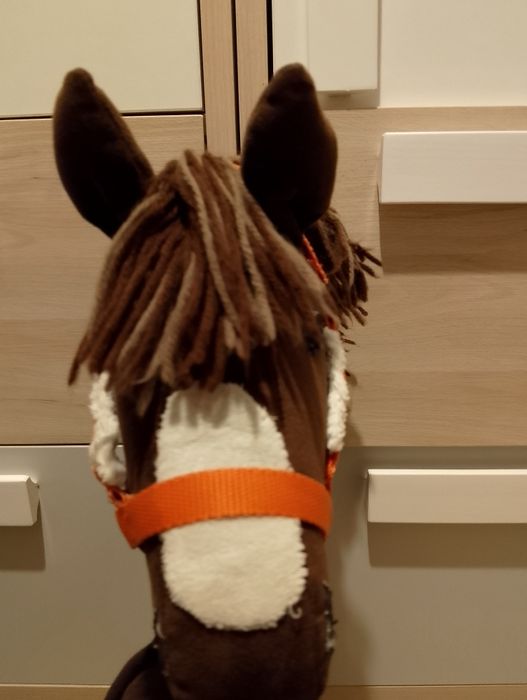 Hobby      horse