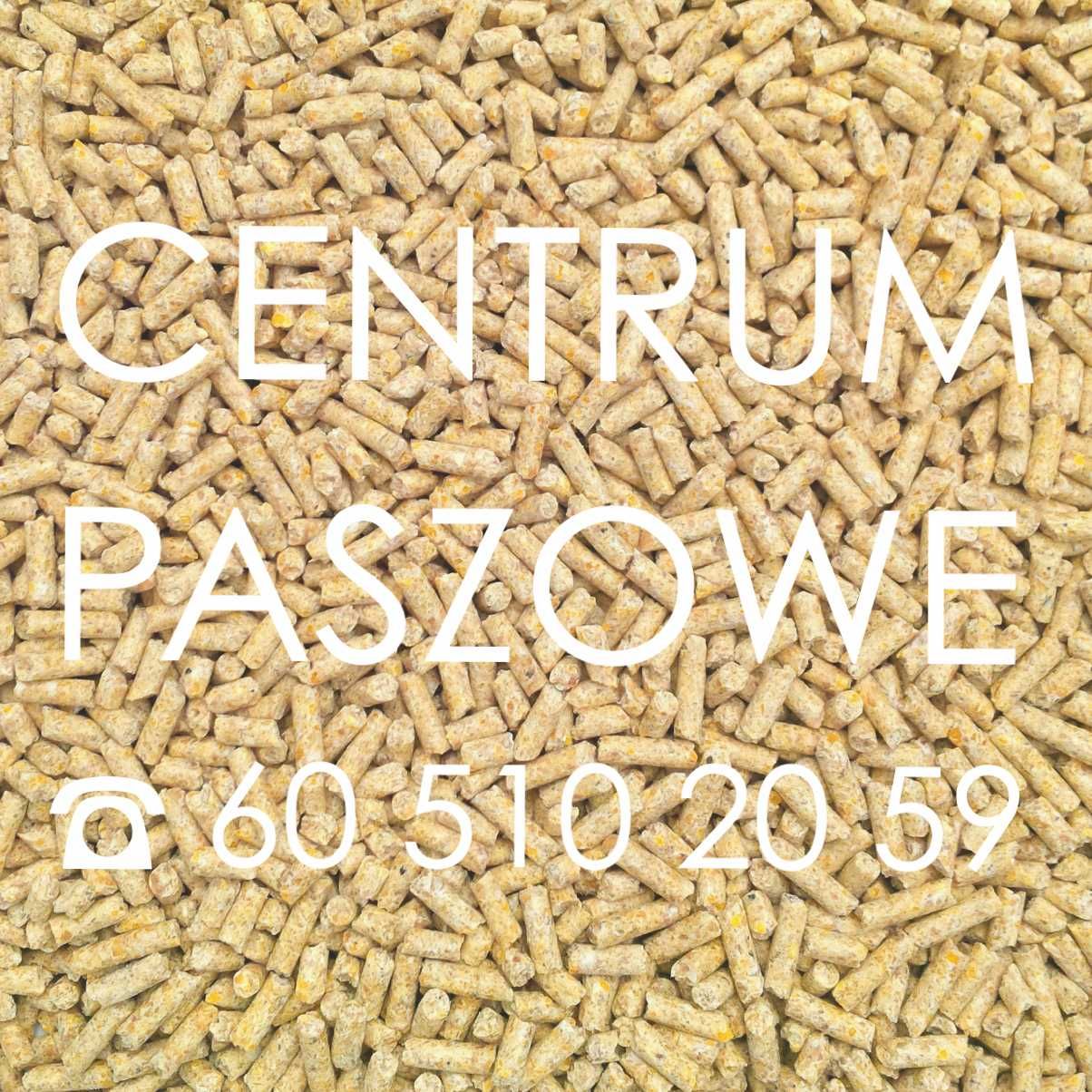 Pasza dla kur niosek 17% białka! 25kg GRANULAT kury nioski WYSYŁKA