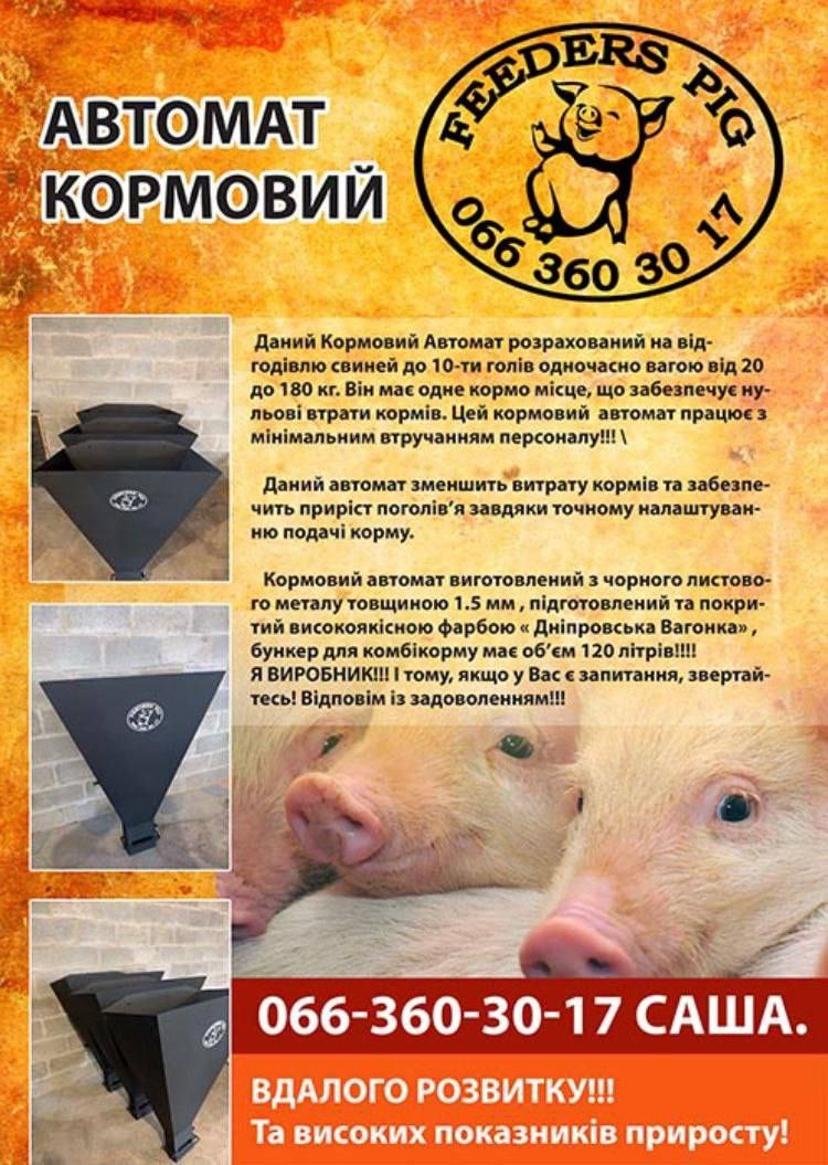 Кормушка для відгодівлі поросят, кормовий автомат, бункерна кормушка