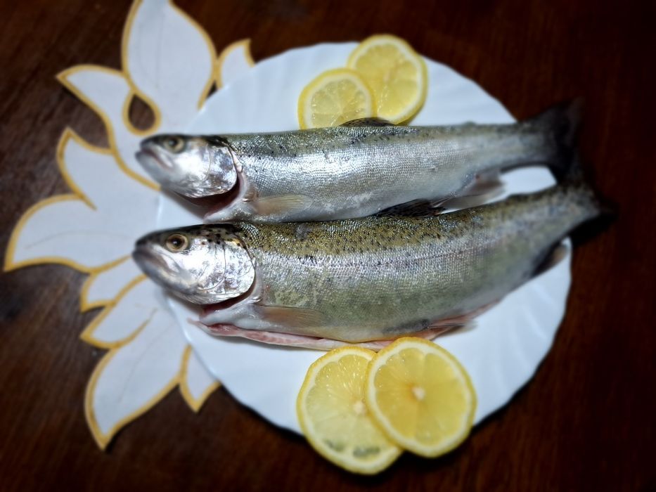 Pstrąg konsumpcyjny