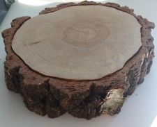 Duży Plastry drewna brzoza 45 cm gr.11cm na stolik