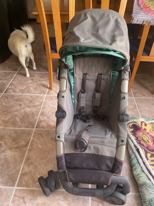 Carrinho bebe nuna passeio