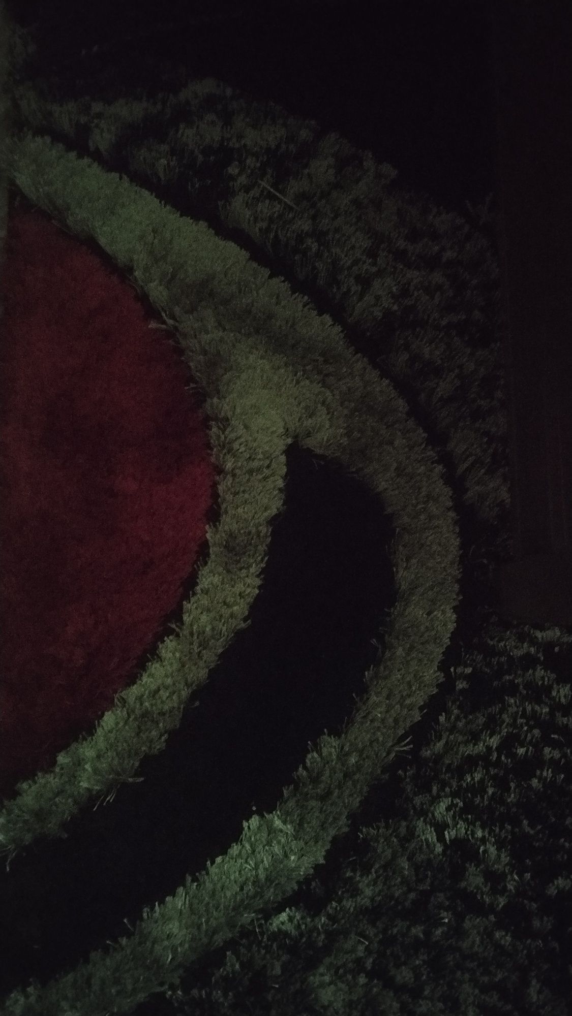 Carpetes como novas