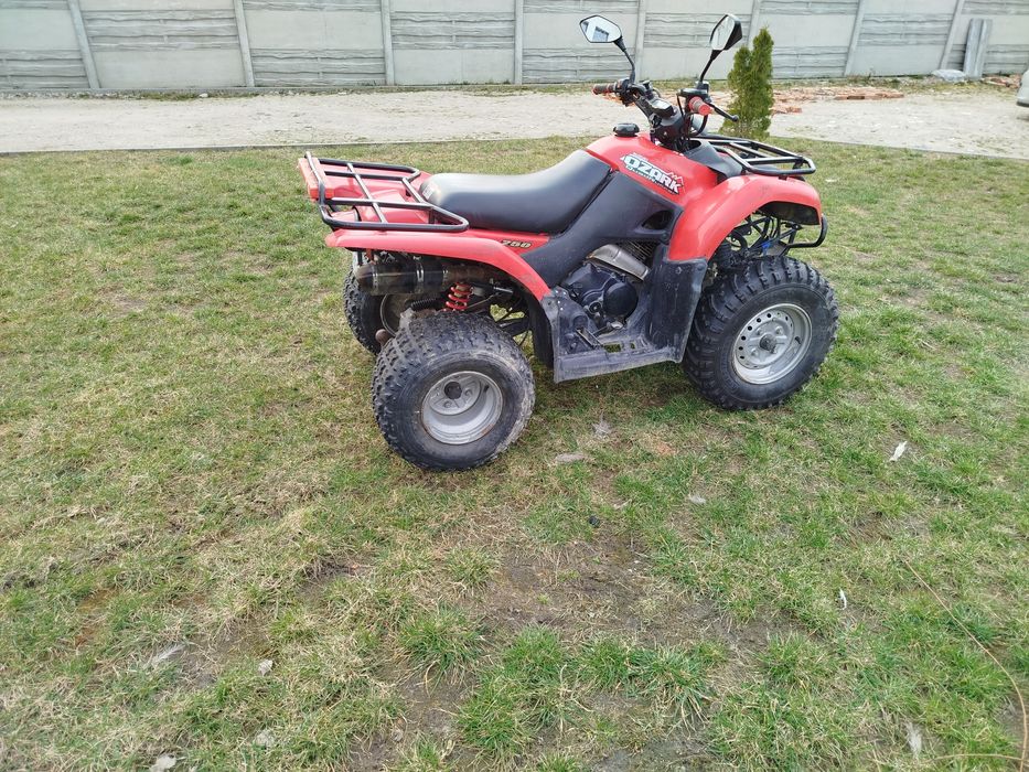 Quad Suzuki Ozark