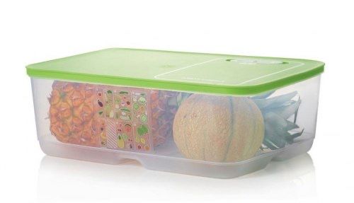 Умный холодильник мясо , рыба 4,4 л Tupperware