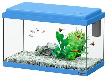 Aquário 16 litros + decoração